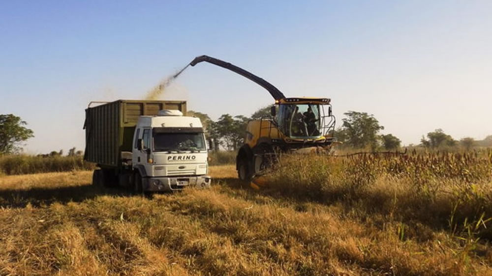 New Holland auspicia la jornada para contratistas forrajeros