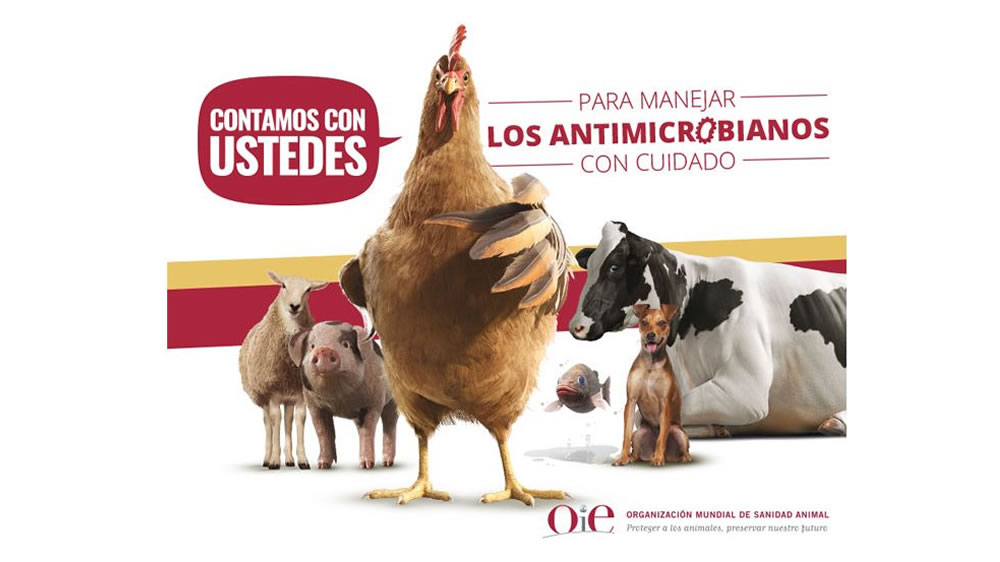 Declaración de la FEVA sobre el uso de antibióticos