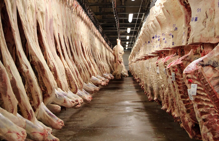 Prevén año récord para la exportación de carne vacuna