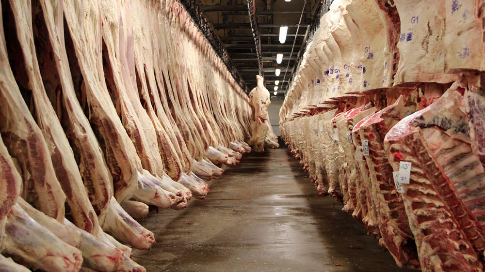 Prevén año récord para la exportación de carne vacuna