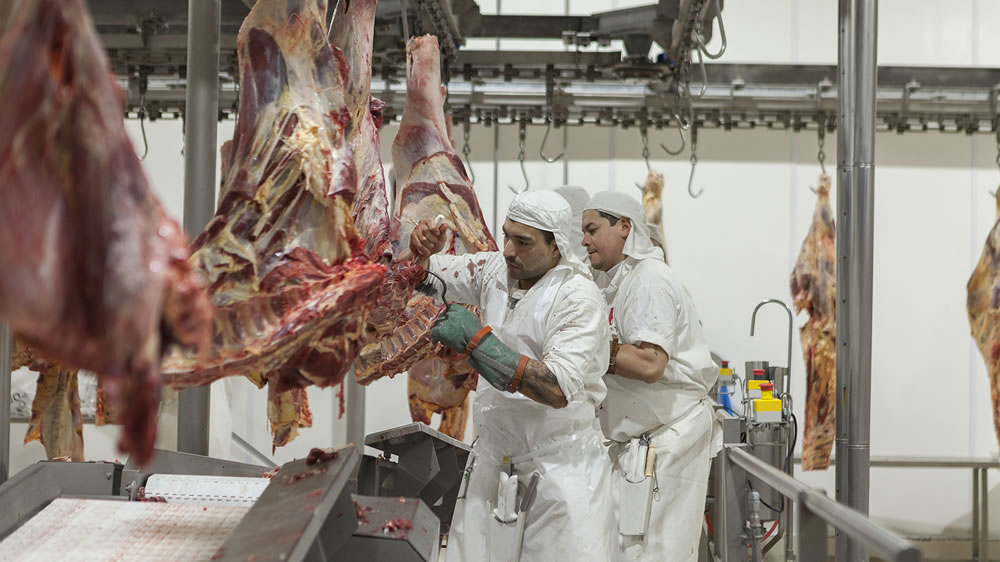 Las carnes bovinas argentinas tienen la green card de Estados Unidos