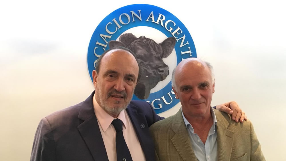 Alfredo Gusmán renovó mandato en la Asociación Argentina de Angus
