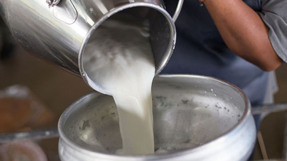Argentina presenta un mercado de futuro de leche cruda