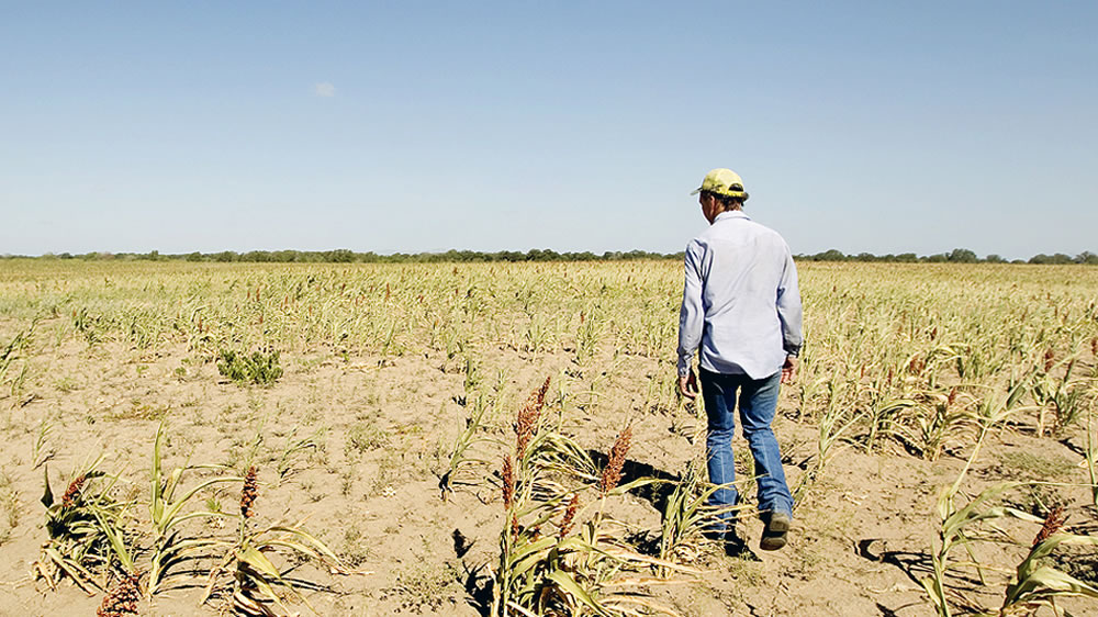 Declaran emergencia por sequía a varios departamentos catastrales de La Pampa