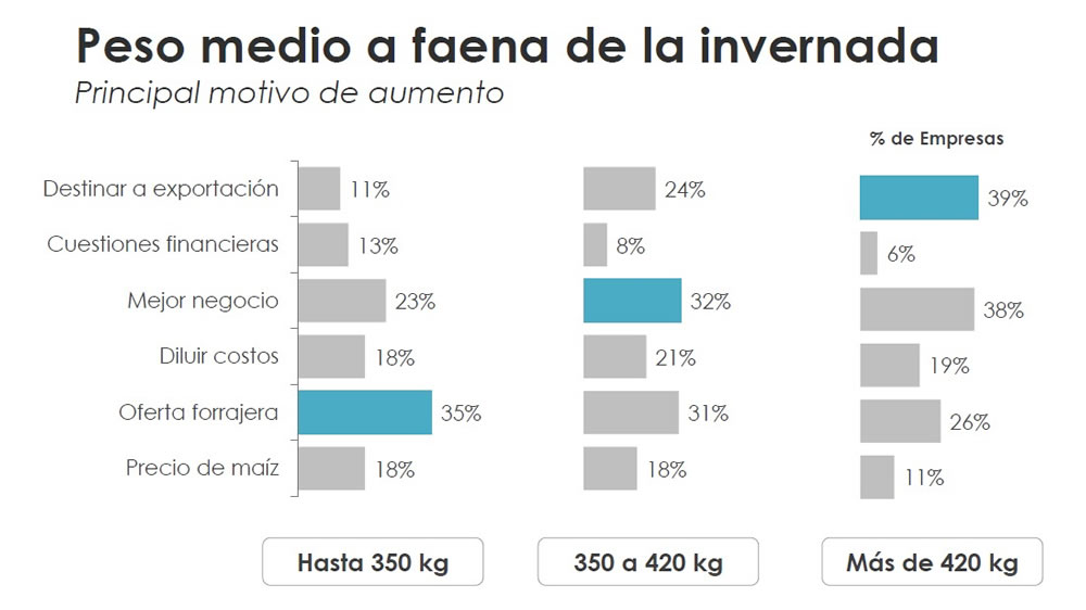 ¿Por qué productores líderes aumentarán el peso de faena en 2019?