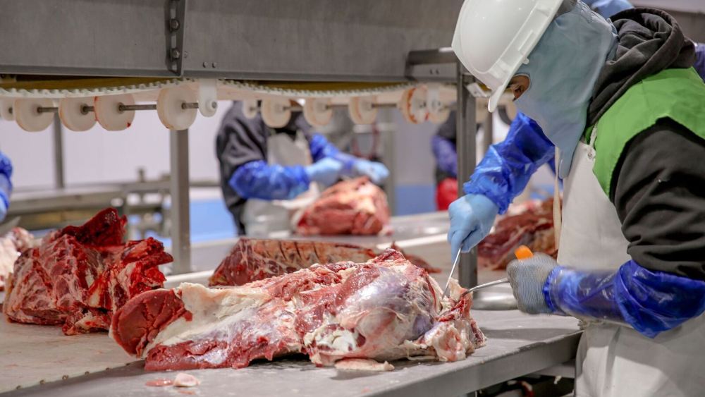 Las exportaciones de carne bovina escalaron 70% en 10 meses