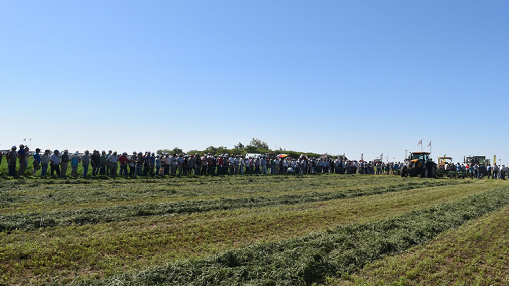 Las Jornadas Nacionales de Alfalfa 2019, con fecha confirmada