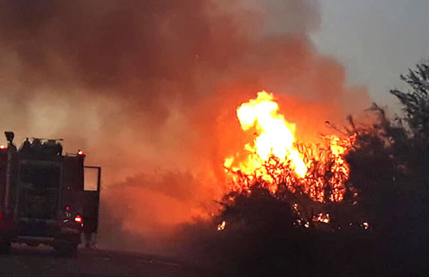 Controlaron el incendio en La Adela