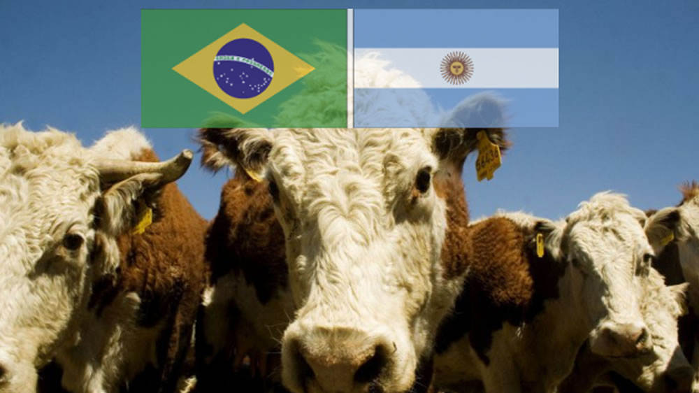 Argentina y Brasil tienen el novillo más barato del mundo