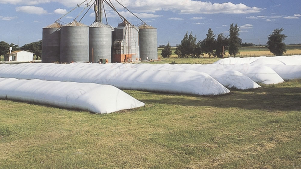 Ya está disponible el protocolo de seguridad rural para actuar ante delitos realizados en el ámbito agropecuario