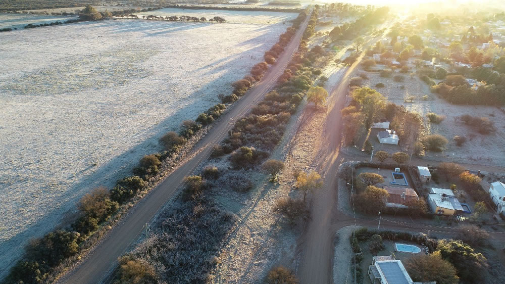 Los daños de la primera helada del 2019