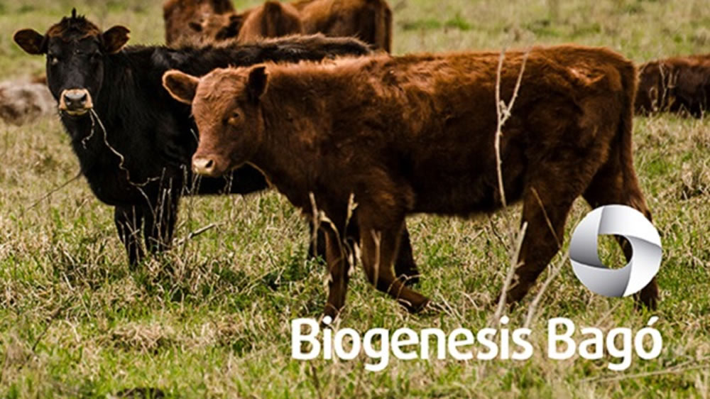 Biogénesis Bagó invirtió u$s 10 M para su planta de vacunas antiaftosa