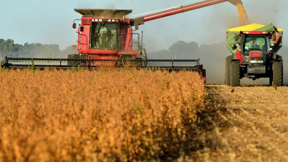 Con un fuerte impulso del trigo y la cebada, aumentó en enero la liquidación de divisas de los agroexportadores