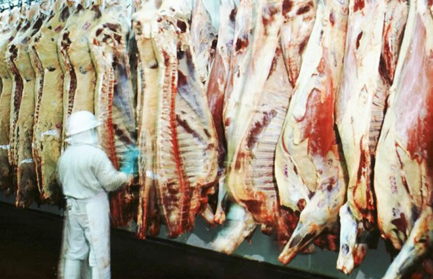 Carnes: Argentina superaría el millón de toneladas exportadas en 2019