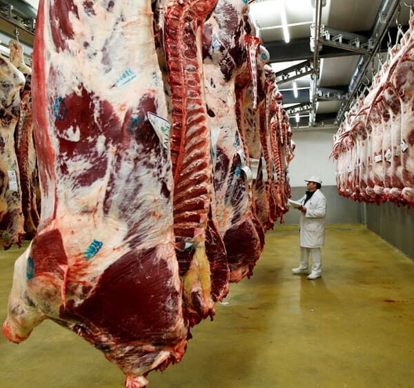 Continúan creciendo las exportaciones de carne de Brasil y eso le suma presión bajista al mercado mundial, afectando a la Argentina