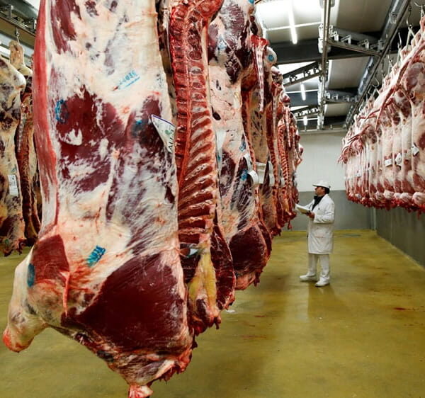 Récord en exportaciones de carne: más ingresos por precios internacionales y nuevos mercados