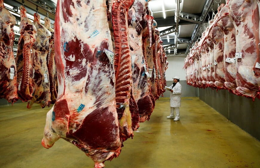 Aumento destacado de exportaciones de carne vacuna a Europa e Israel y estabilización con China