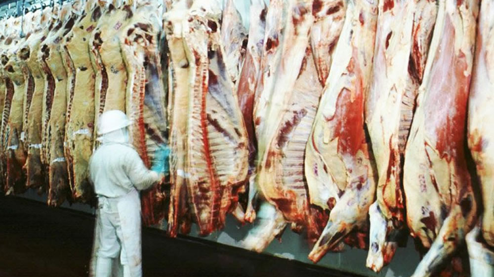 “Se inflaron”: el Gobierno de Milei revisó las exportaciones de carne de los últimos 4 años y encontró sorpresas