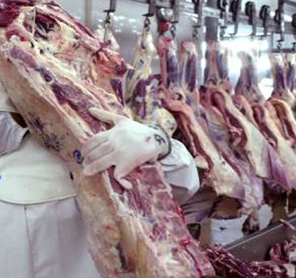 Paraguay registra destacados números en exportación de carne vacuna este febrero