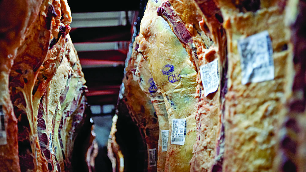 Rumor sobre baja de retenciones para carnes