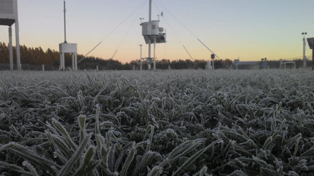 Una helada en pleno verano en La Pampa