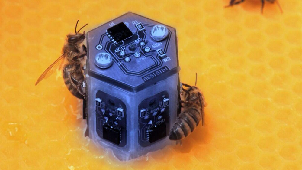 Los robots que podrían salvar a las abejas de los agroquímicos