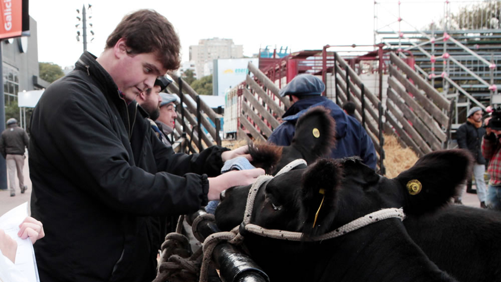 Mejorar la sanidad animal es mejorar la seguridad alimentaria