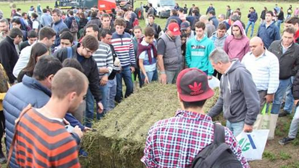 El INTA Manfredi prepara la Jornada Nacional de Forrajes Conservados