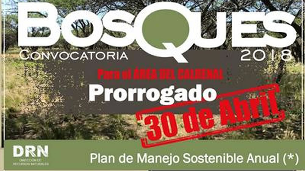 Prórroga en convocatoria de bosques