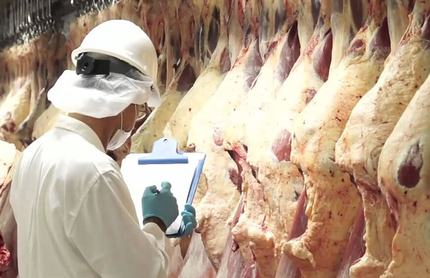 El precio promedio de exportación de carne vacuna subió en septiembre impulsado por mayores valores internacionales