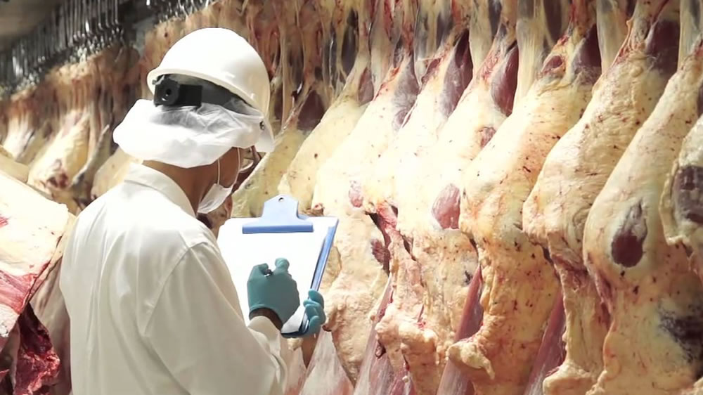 El mercado exportador de carne argentina «absolutamente alterado» por el coronavirus
