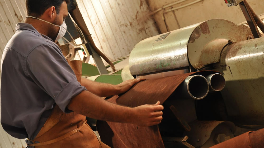 Crean cuota para exportar cueros sin retenciones