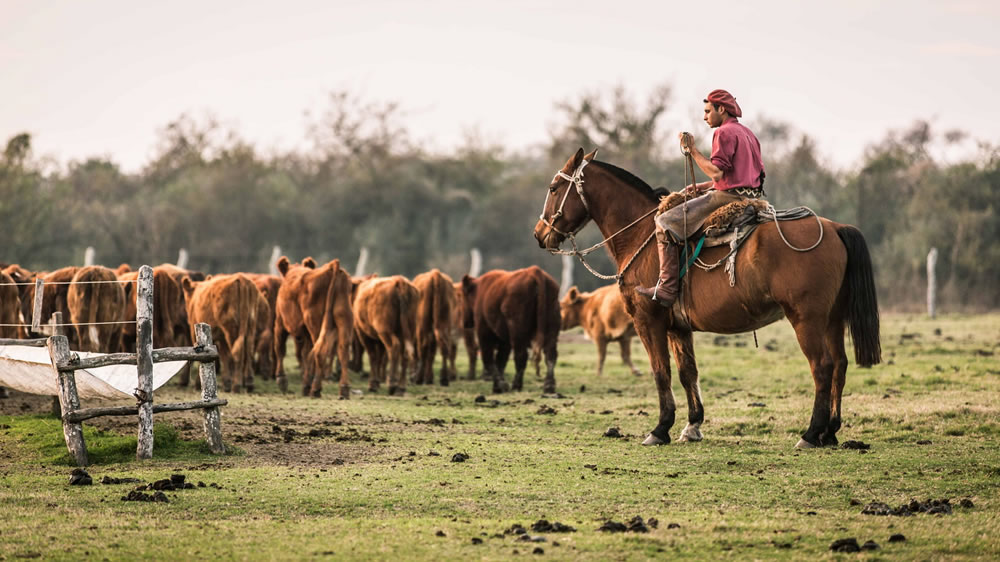 Nuevos salarios para peones rurales