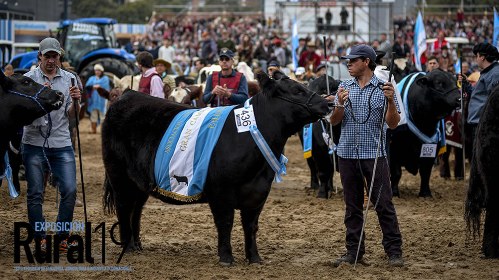 Prevén pérdidas millonarias por la suspensión de exposiciones rurales