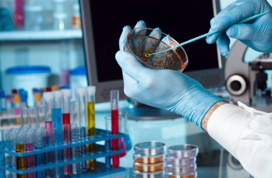 La AFIP anunció beneficios impositivos para proyectos de Biotecnología