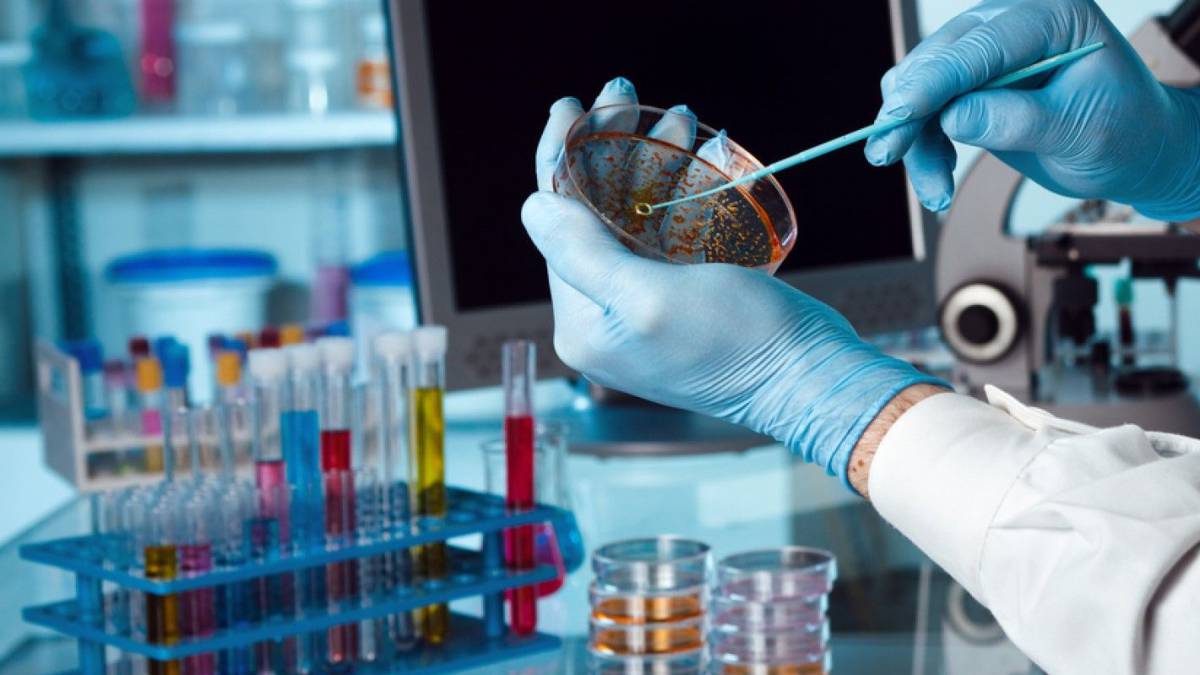 La AFIP anunció beneficios impositivos para proyectos de Biotecnología