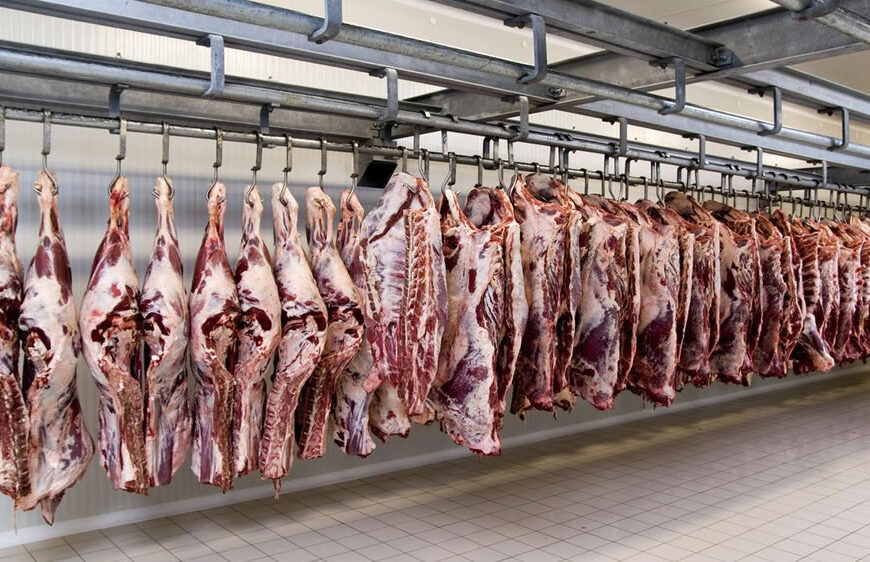 La producción de carne Argentina podría beneficiarse por la recuperación de la demanda China