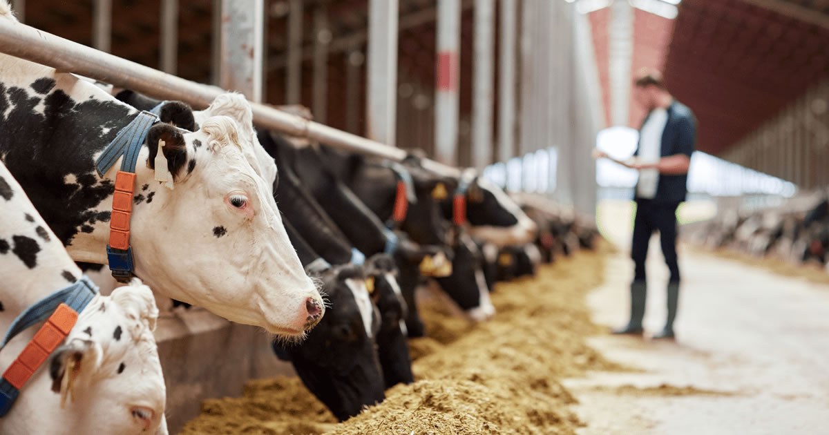 Analizan nuevos mecanismos de financiación para el sector de ganados y carnes