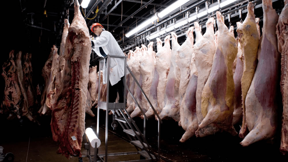 Trabajadores de la carne cerraron una recomposición salarial del 28% en tres tramos