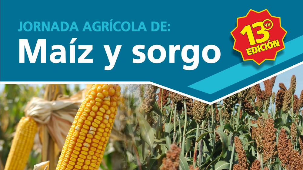 Jornada Agrícola de Maíz y Sorgo en INTA Anguil