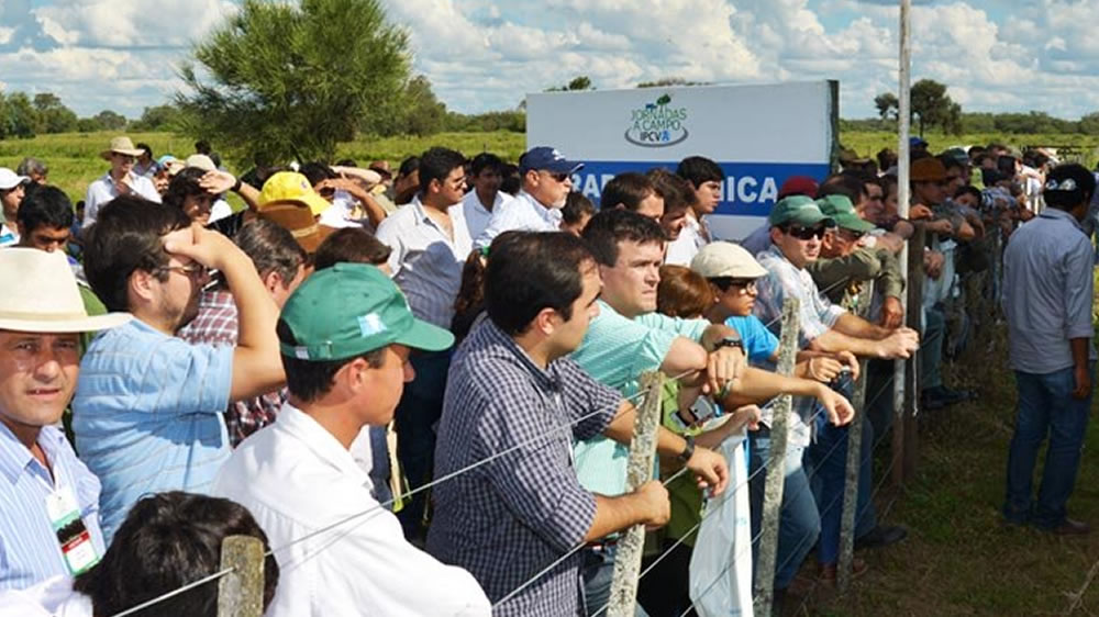 Cientos de productores se dieron cita en la jornada a campo del IPCVA en San Luis