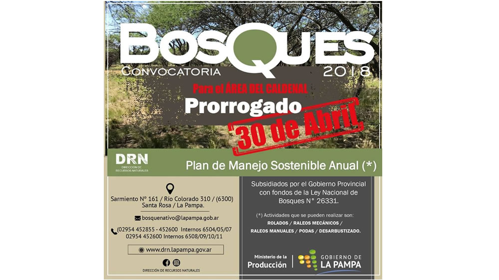 Prorroga Convocatoria 2018 para recibir aportes no reintegrables para realizar intervenciones en el bosque nativo.