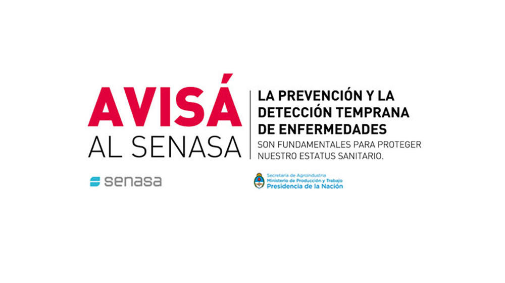 Avisa al Senasa: recomendaciones para la prevención de Carbunclo