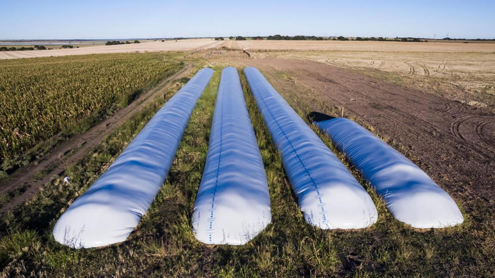 Las bolsas y el celu, a mano para una logística récord