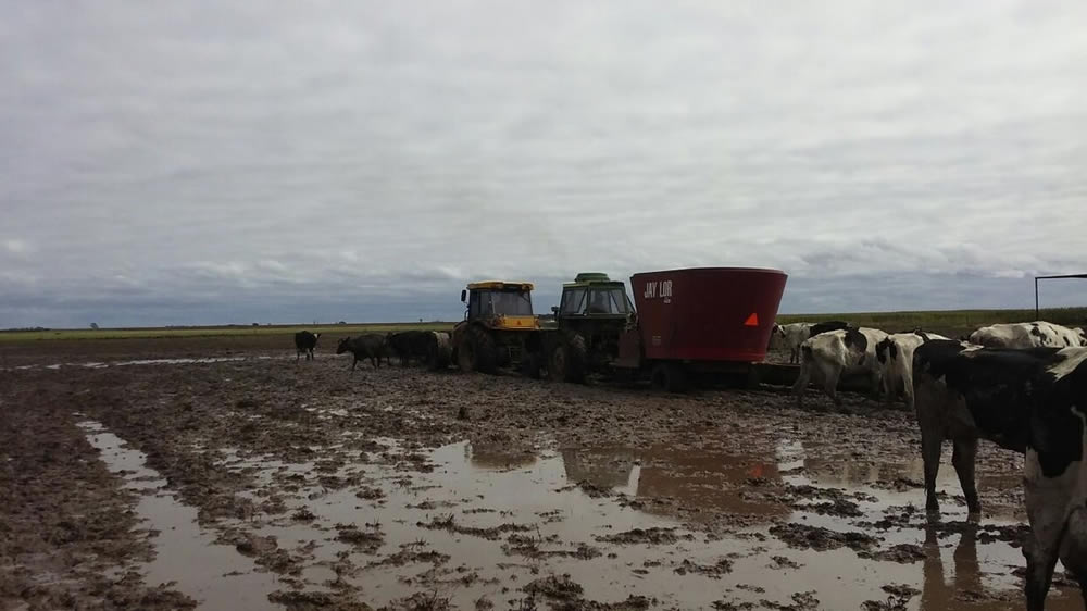 Dramática situación de 25 tambos cordobeses tras las intensas lluvias