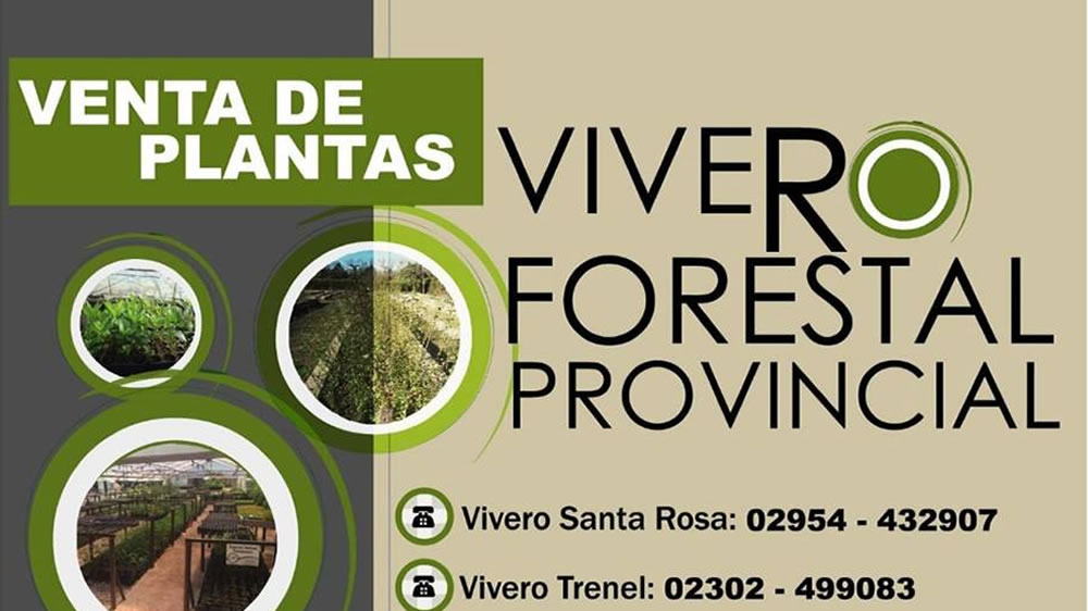 Vivero Forestal Provincial