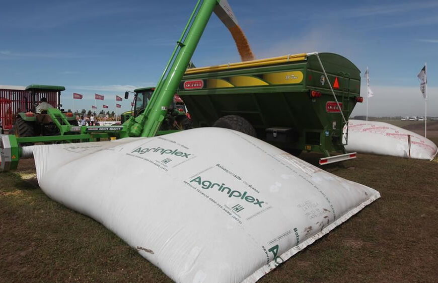 Silaje de grano húmedo: todo lo que debe tener en cuenta para su confección, manejo y aprovechamiento