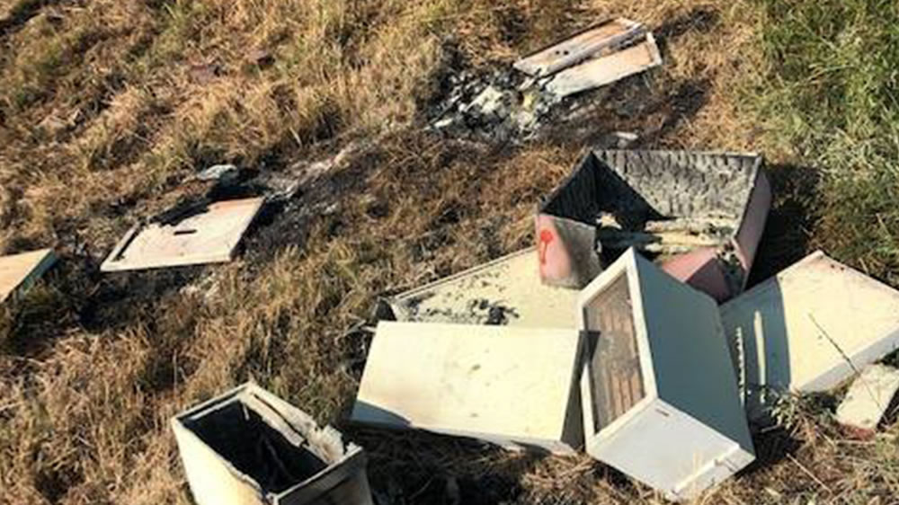 Medio millón de abejas fueron asesinadas tras un acto de vandalismo en EE.UU