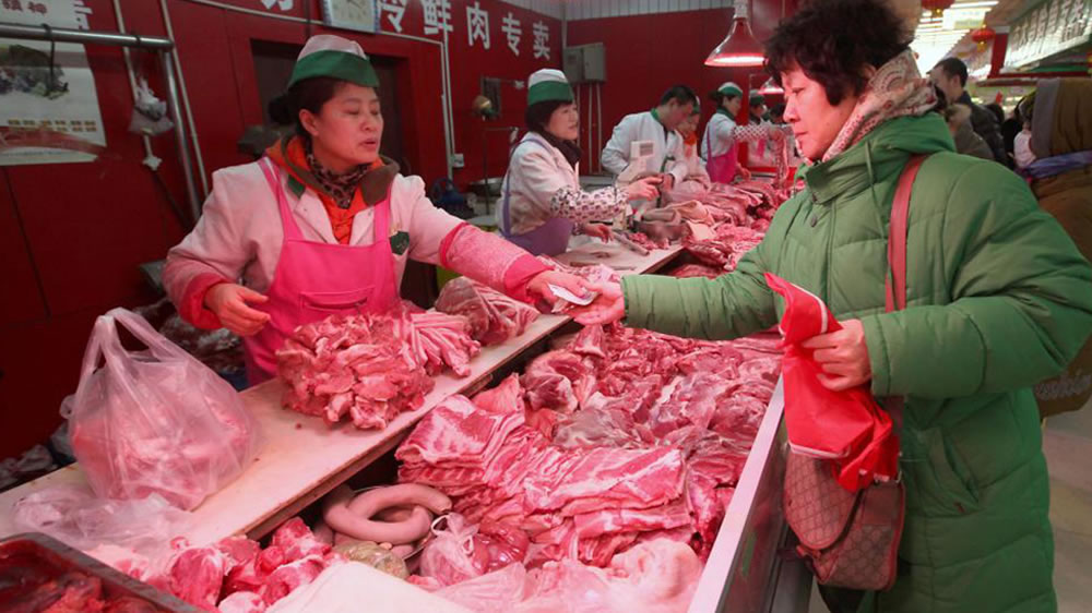 Apertura del mercado chino a la carne de cerdo argentina: ¿Por qué celebran los exportadores de maíz?