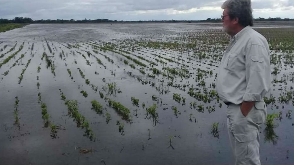 Chaco: el campo ya perdió $11.000 millones por las inundaciones